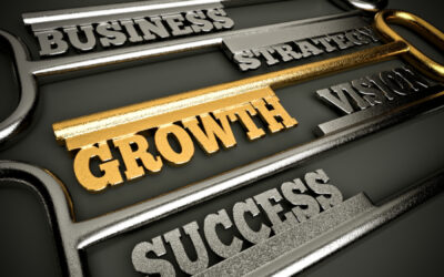 A Small Business Growth Strategy for Greater Seattle Area Business Owners